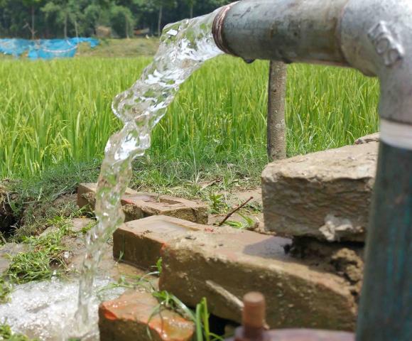project Bangladesh